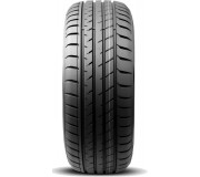 Sport D1
