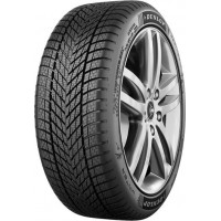 Dunlop Winter 205/65 R17 100H